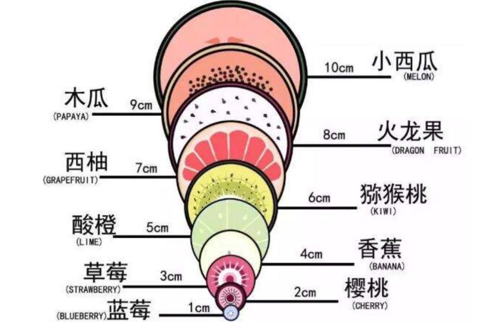 顺产开十指要用10个手指测量吗详解开十指全程是真疼