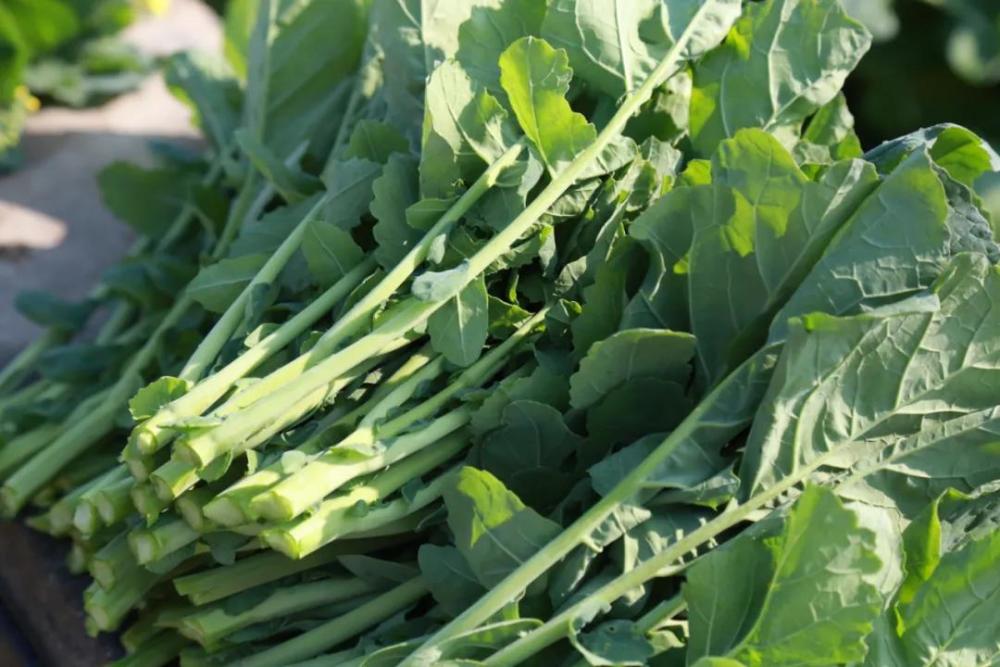 商标"黔恒稻""金海雪米""囿稻""金海坝子"等8个系列产品畅销省内外