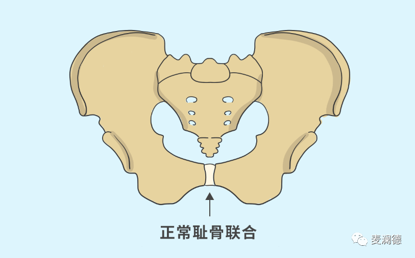 產後她疼的下不了床小心恥骨聯合分離在搗鬼