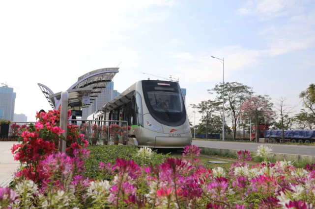 官宣高明有轨电车2021年度客流量日均578人次