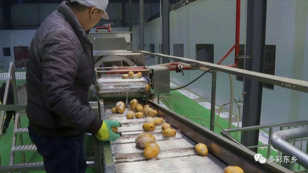 速冻薯条生产线助力东乡马铃薯产业发展甘肃方大百泉农业科技有限公司