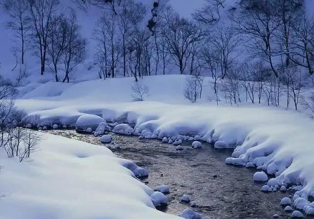 冬雪飄來故鄉的夢作者朱建新浙江朗誦紫鬱河北