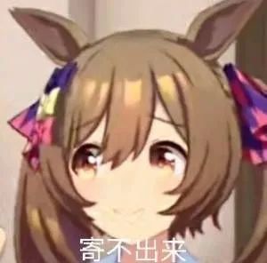 没有表情包比《赛马娘》更懂"寄"插图17