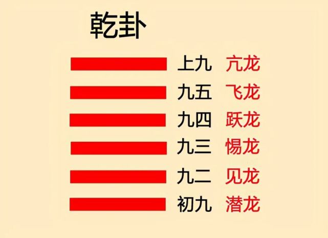 学习乾卦六龙的智慧总结六爻规律掌握易经六十四卦的核心
