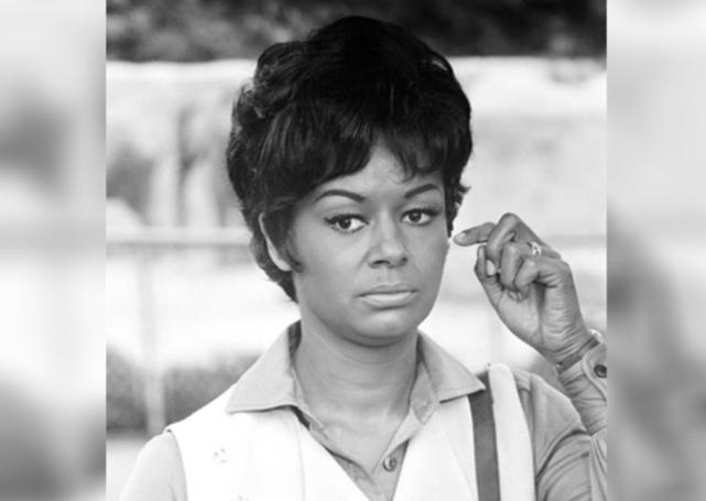 費舍爾 (gail fisher) 在 70 年代的電視節目《曼尼克斯》(mannix)