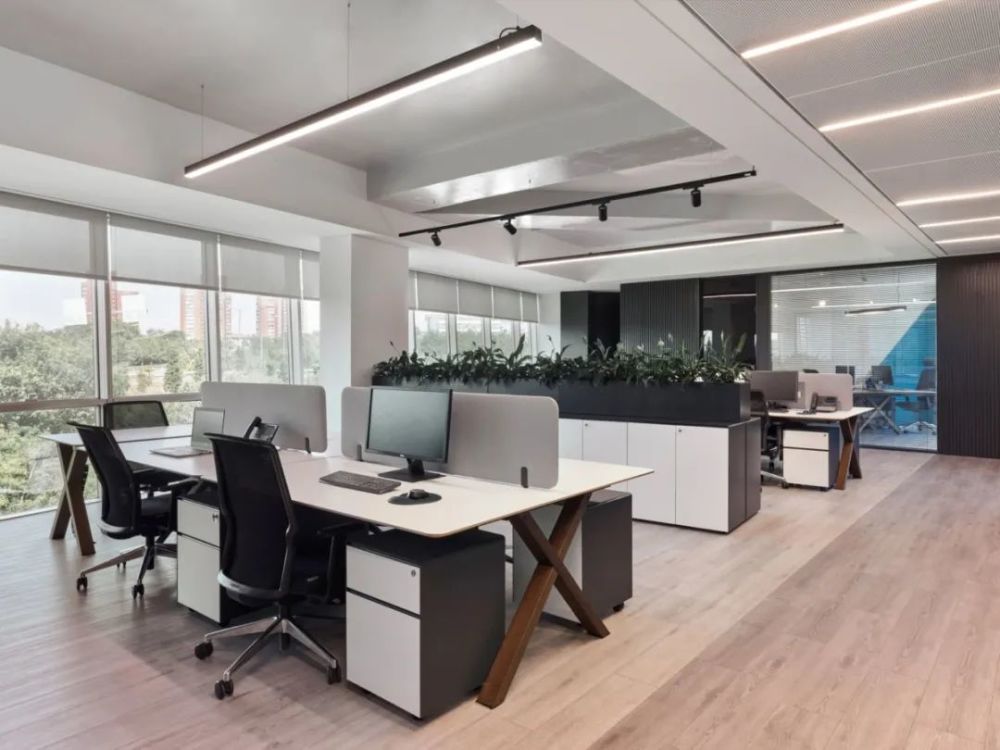 高品质建筑公司办公室设计温暖的材料和充满活力