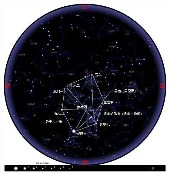 北半球冬季星座图片