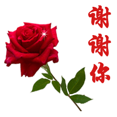 点击播放 gif0.0m不会说话的,会发表情包吧?