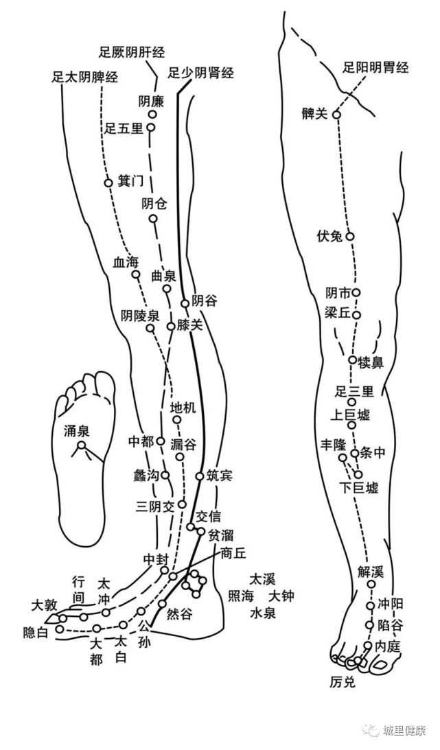 剛好讓這三條經絡都得到拉伸,剛開始做的時候兩條大腿內側會酸脹緊繃