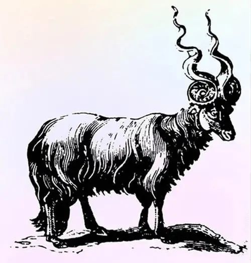 大地英豪电影公司签约编剧周胜子野猪传