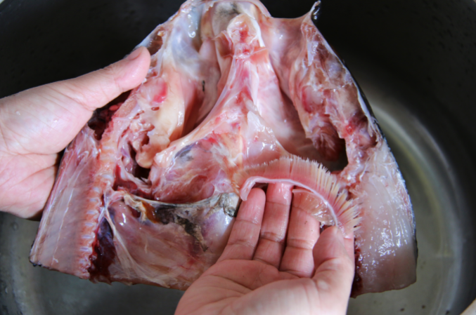 再将鱼肉部分划上几刀,也就是鱼鳃一下的肉,这么做便于入味,还能缩短