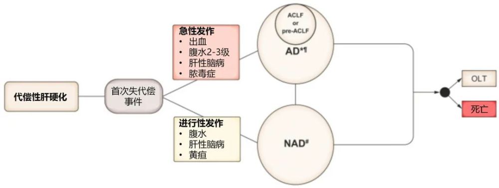 失代偿期肝硬化的2种类型急性失代偿和非急性失代偿一图总结