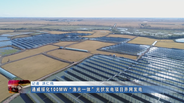 新闻联播▏通威绥化100mw渔光一体光伏发电项目并网发电