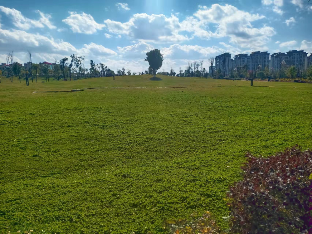 陆良同乐公园城市为了生活更美好