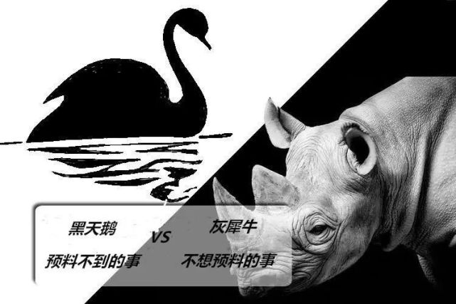 【思享者】"黑天鹅"与"灰犀牛"