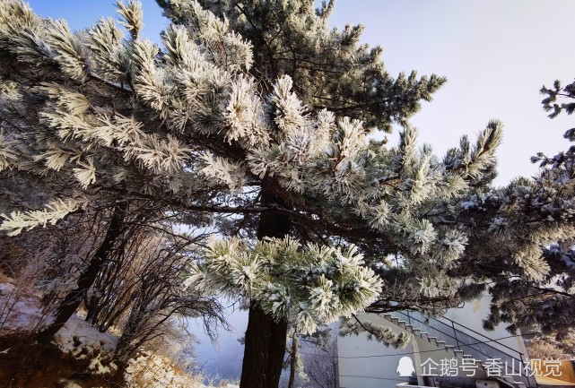 2022年尧山第一场雪,美翻了!