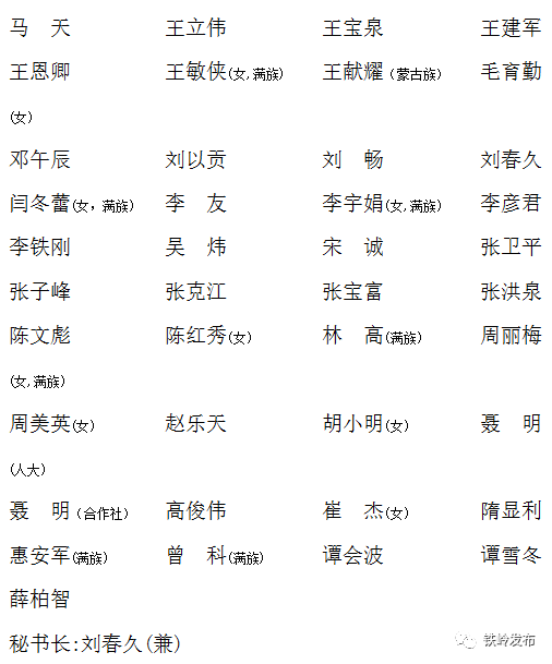 铁岭市第九届人民代表大会第一次会议议案审查委员会主任委员副主任