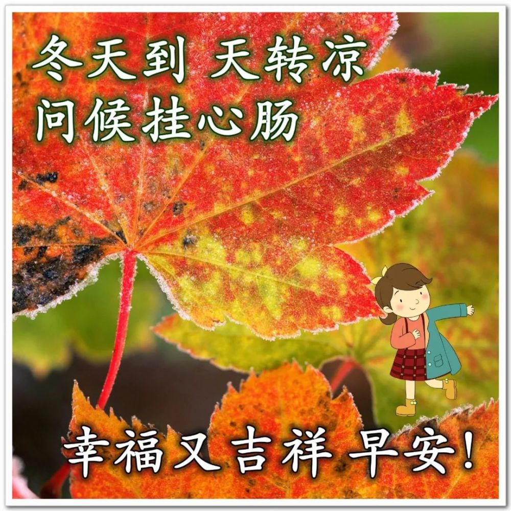 早上好暖心祝福表情包 每天早上好問候語以及關心話 早上好暖心話語