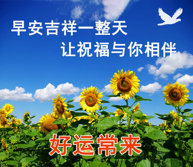 有创意的清晨早安问好图片带字日出早上好温馨短句