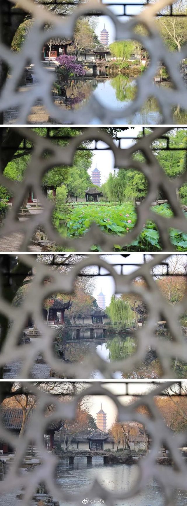 时光流转相同角度的拙政园四季对照图