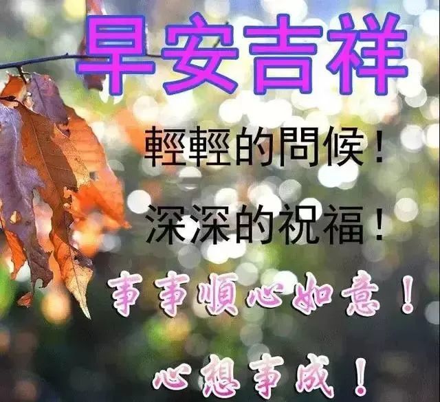 10张漂亮清新动图创意会动祝福语表情包动图甜美愉快 表情包祝福语