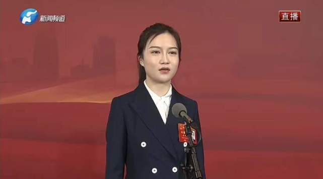 河南省人大代表陈玮营商环境的政策大礼包促活民营经济