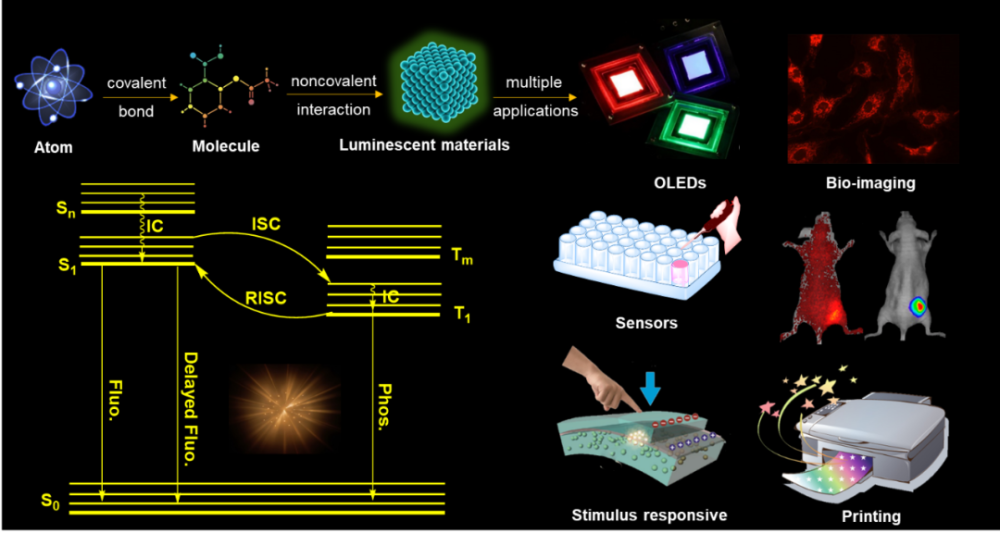 圖1 有機發光材料的組成,發光原理及其應用.