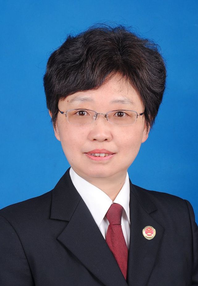 陈琳当选为望江县人民检察院检察长