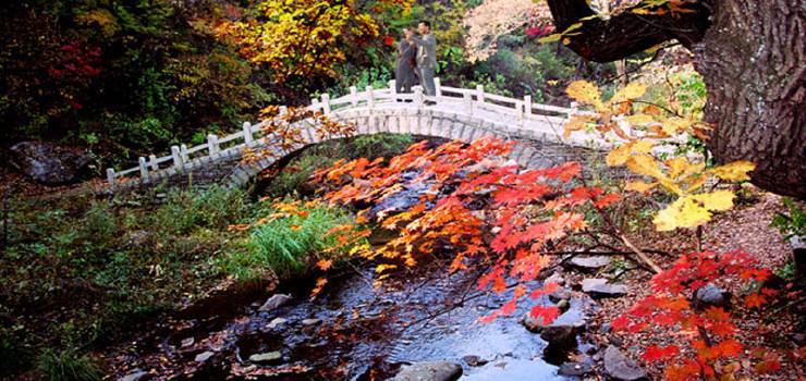 撫順三塊石國家森林公園聯