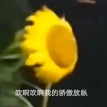 表情包唯唯诺诺