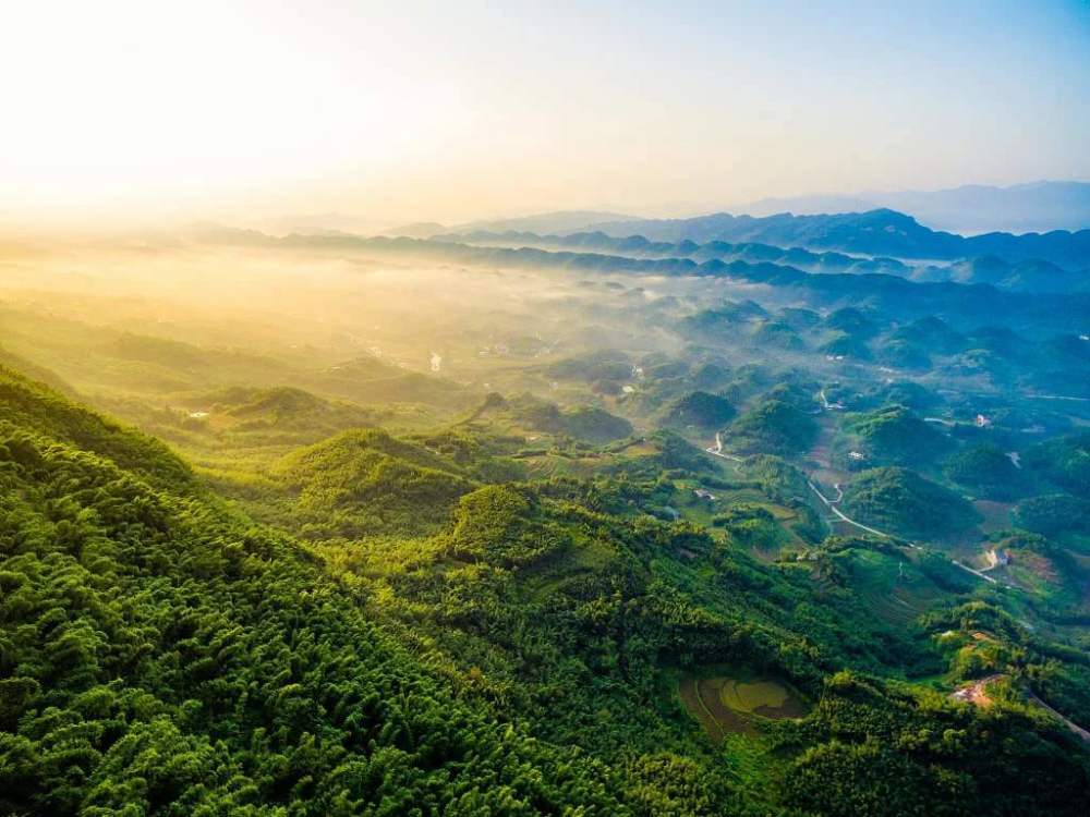 清初人口_明末清初的四川:数百万人口只剩九万,人在老虎面前成“保护动物”