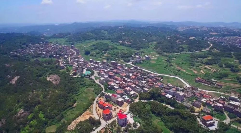 恭喜张坂镇松山村后蔡村上榜