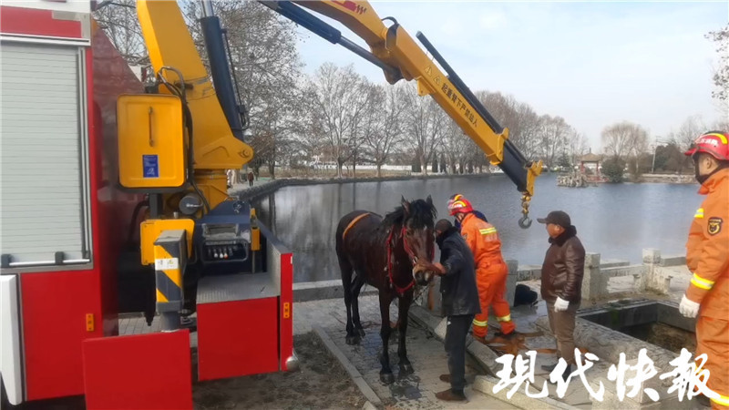 马吊有多么长图片图片