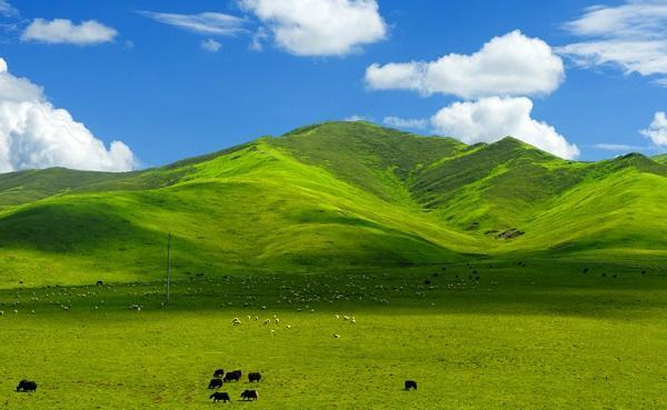 兰州到甘南草原自驾游路线你心动了吗