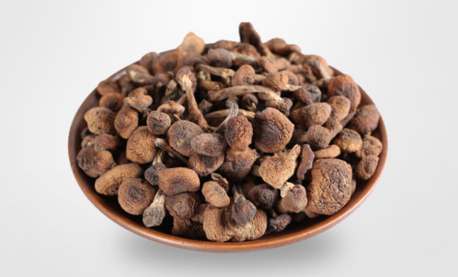 榛蘑,大自然赐予的野生美味