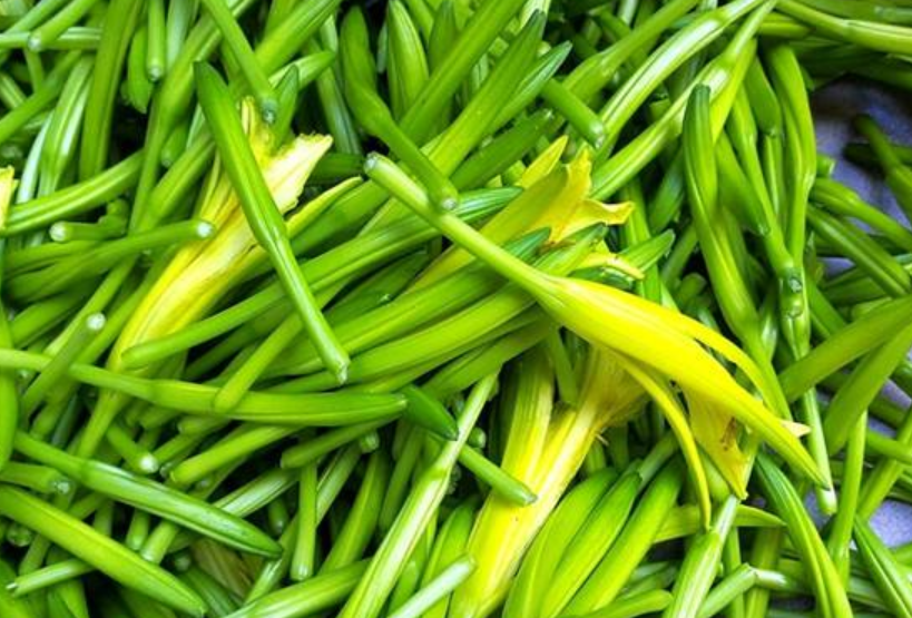 养生吃下这朵忘忧菜可以健脑抗衰老