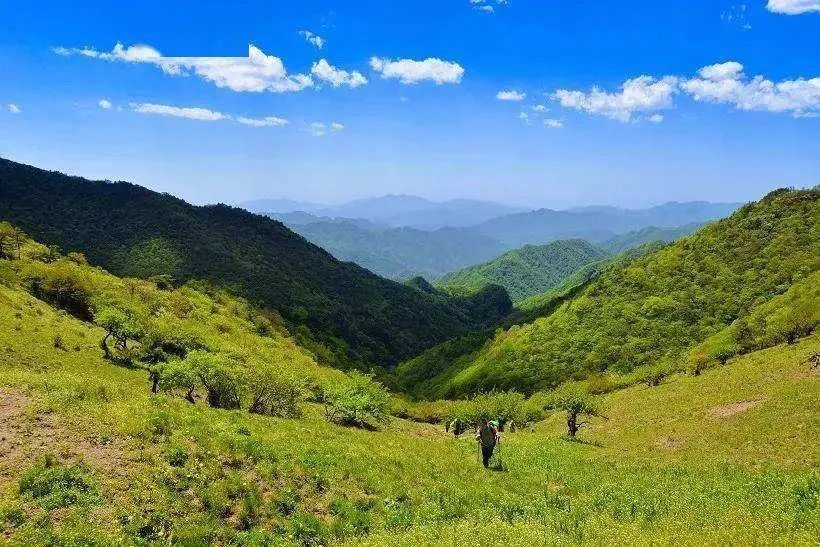 隱居要錢嗎姑娘拋棄物質金錢隱居終南山最終被房租費所拋棄