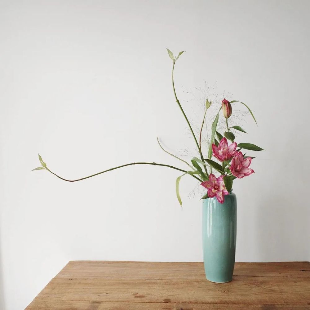 看完这篇你一定能学会禅韵插花