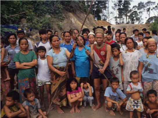 清朝|加里曼丹岛|南洋|罗芳伯|兰芳共和国|华人