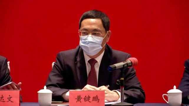 黄键鹏,吴丁顺,刘达文,方云柏,王予军等参加审议活动.