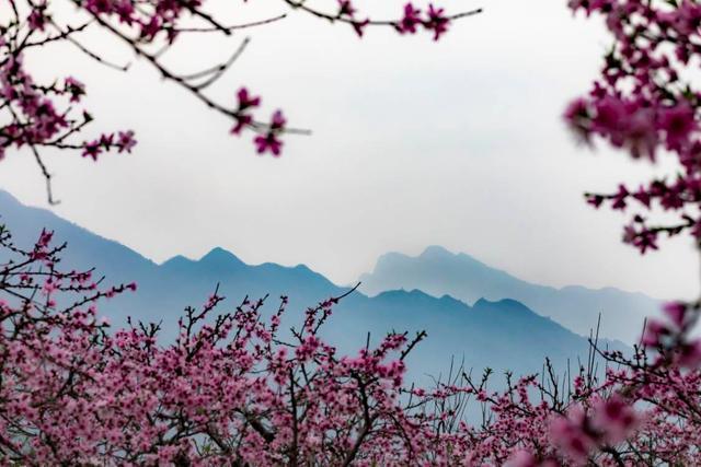 朝陽市桃花山風景區聯