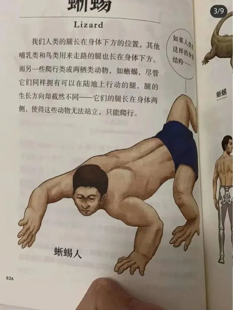 啥書都有啊這是跟動物交換身體