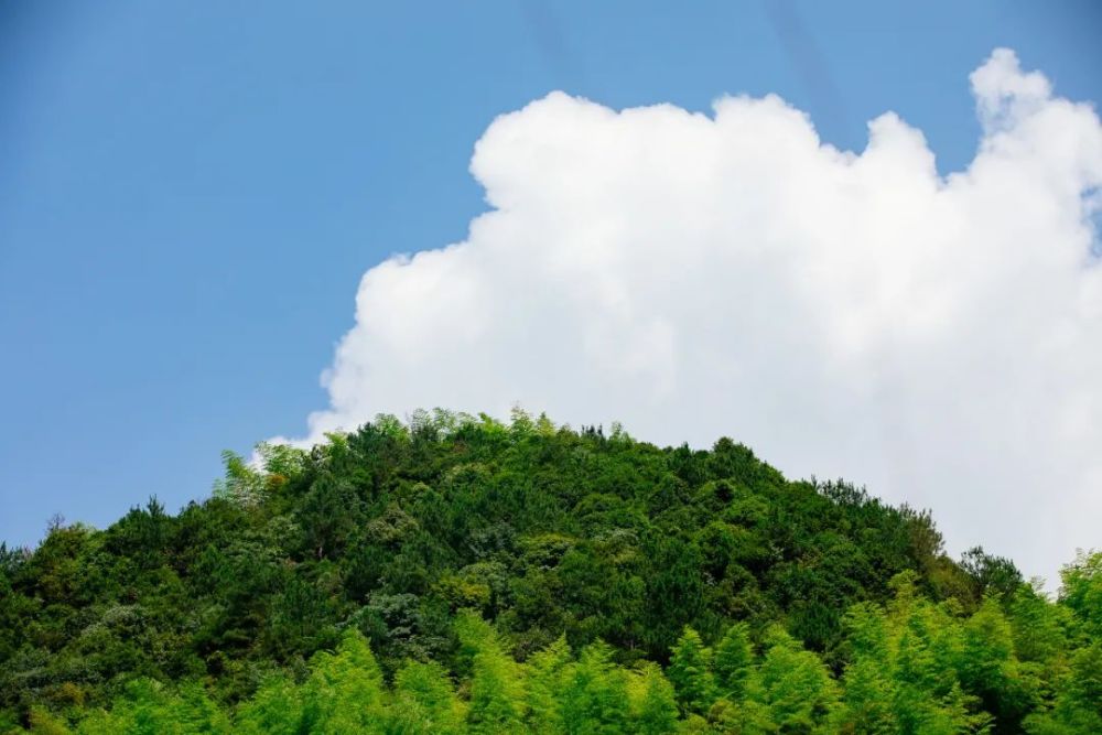 隱於莫干山深處的輕奢民宿在星空下享受純淨的溫泉泡湯親近自然心靈歸