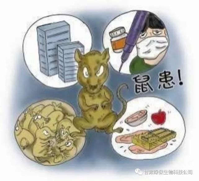 防鼠灭鼠知识宣传