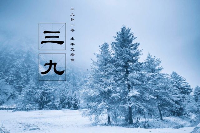 明日进入三九天,再忙也别忘了吃"六个一",顺应时节,平安过冬