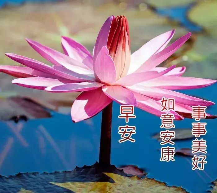 1月7日周五早安给自己一个微笑