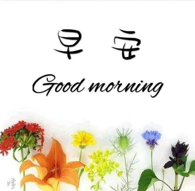 生活无需复杂幸福就是如此简单早上好