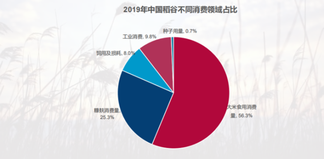 中國是稻穀的主要生產國,2019年稻穀產量佔到28.9%.