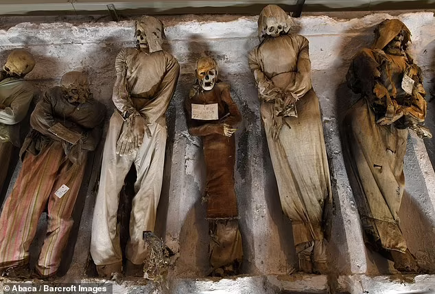 意大利地下墓穴中41具儿童木乃伊将被调研,推测身份非富即贵