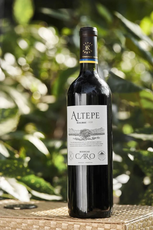 春节聚会嗨起来|橡木|拉菲|红酒|葡萄